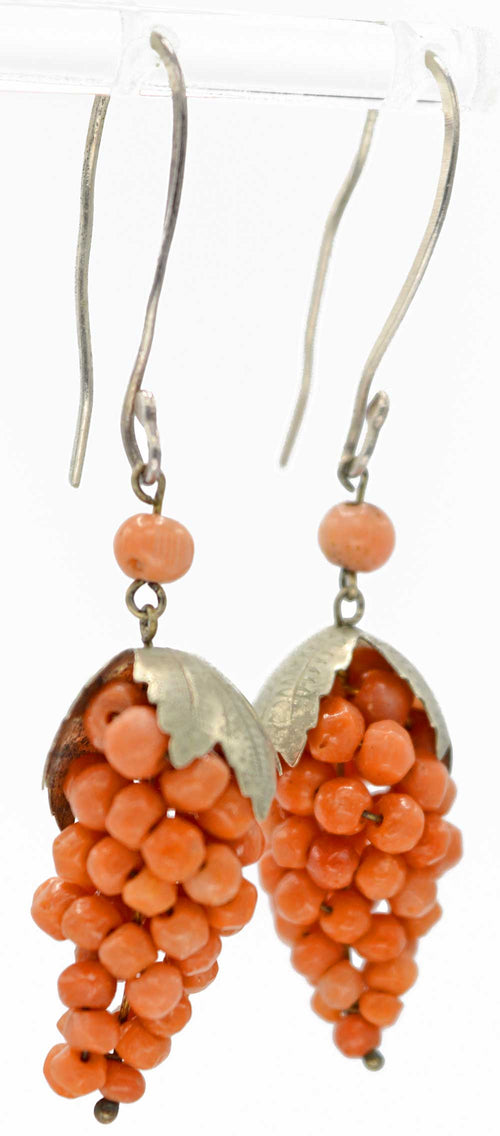 Grapevine coral earrings with silver