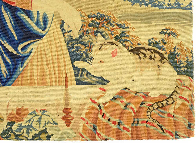 Aubusson tapestry with a cat on a cushion